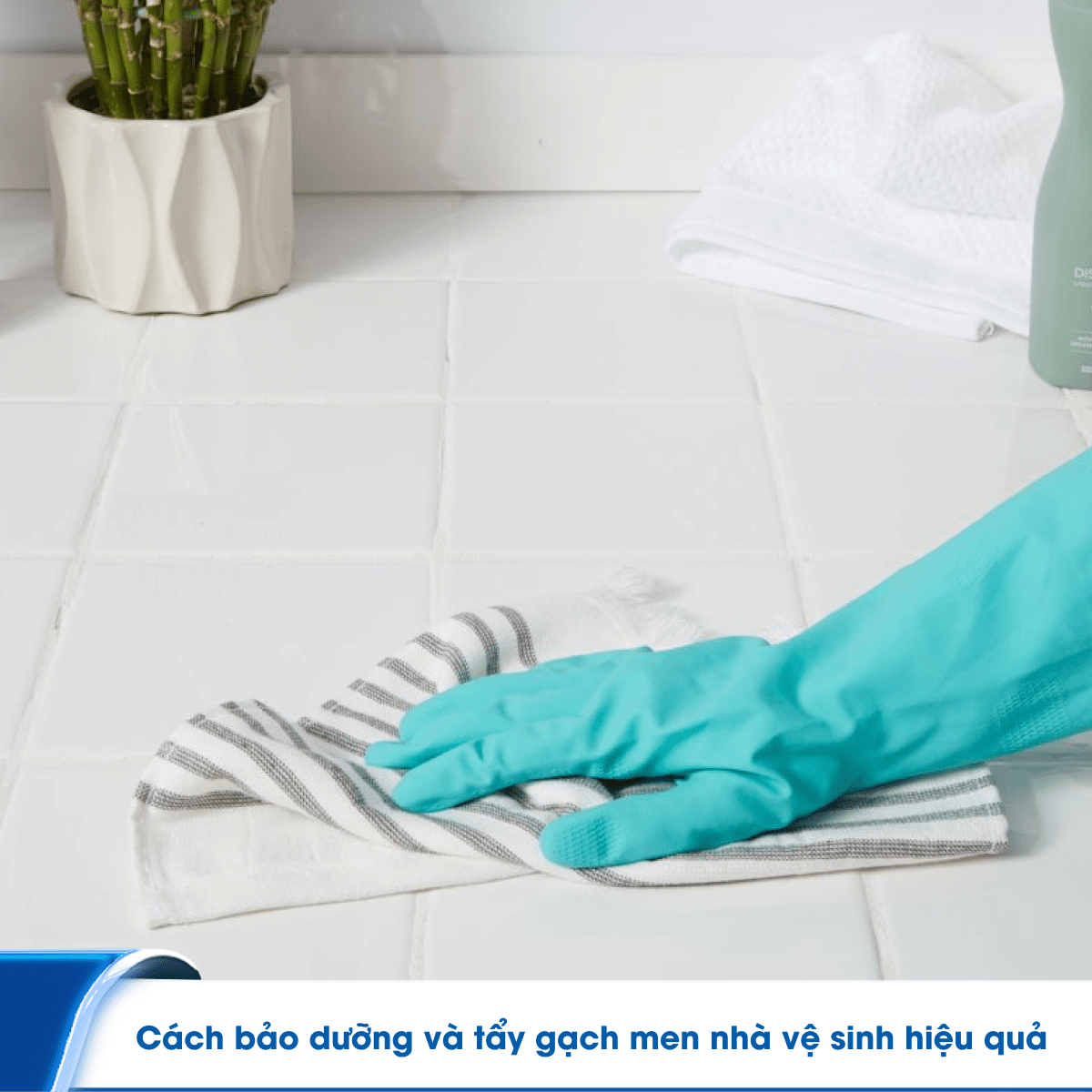Cách bảo dưỡng và tẩy gạch men nhà vệ sinh hiệu quả