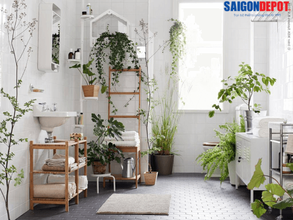 Thiết kế phòng tắm 5m2 theo phong cách Bohemian đầy độc đáo