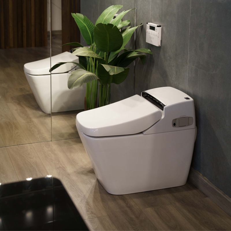 Bộ bồn cầu nắp điện tử & Bảng điều khiển từ xa VOVO PB 707S